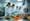 Comparative Analysis of Food Supplements Contract Manufacturing