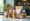 4 Key Packaging Vendors for Nutraceutical Solutions