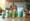 Nutraceutical Packaging Options: Key Types and Their Importance