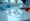 Comparing Film for IVD Devices: Key Options for Nutraceuticals