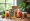 Master Primary Containers: Key Insights for Nutraceutical Success
