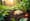 Understanding Compostable Packaging Meaning for Nutraceuticals